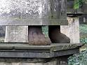 2011-04-16, Eliasfriedhof (94)